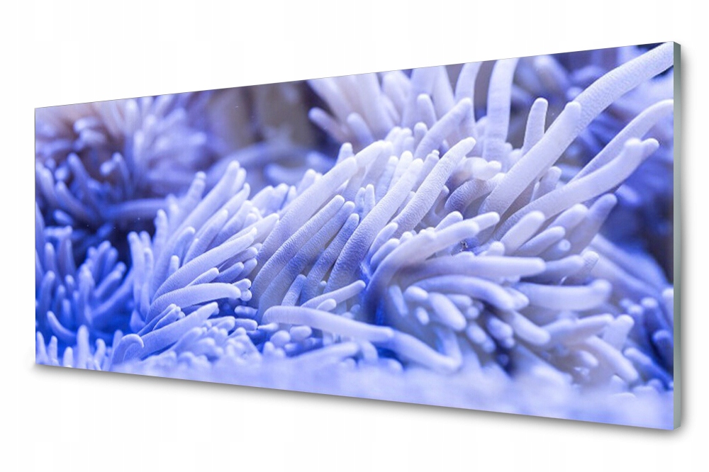 

Panel szklany do kuchni Abstrakcja 125x50