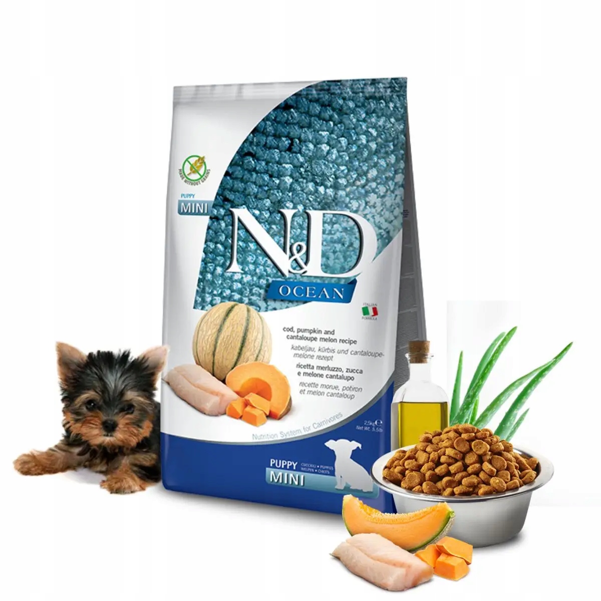 Levně N&d Ocean Dog Příčesek, Dýně & Meloun Kantalupa 800g suché krmivo pro s