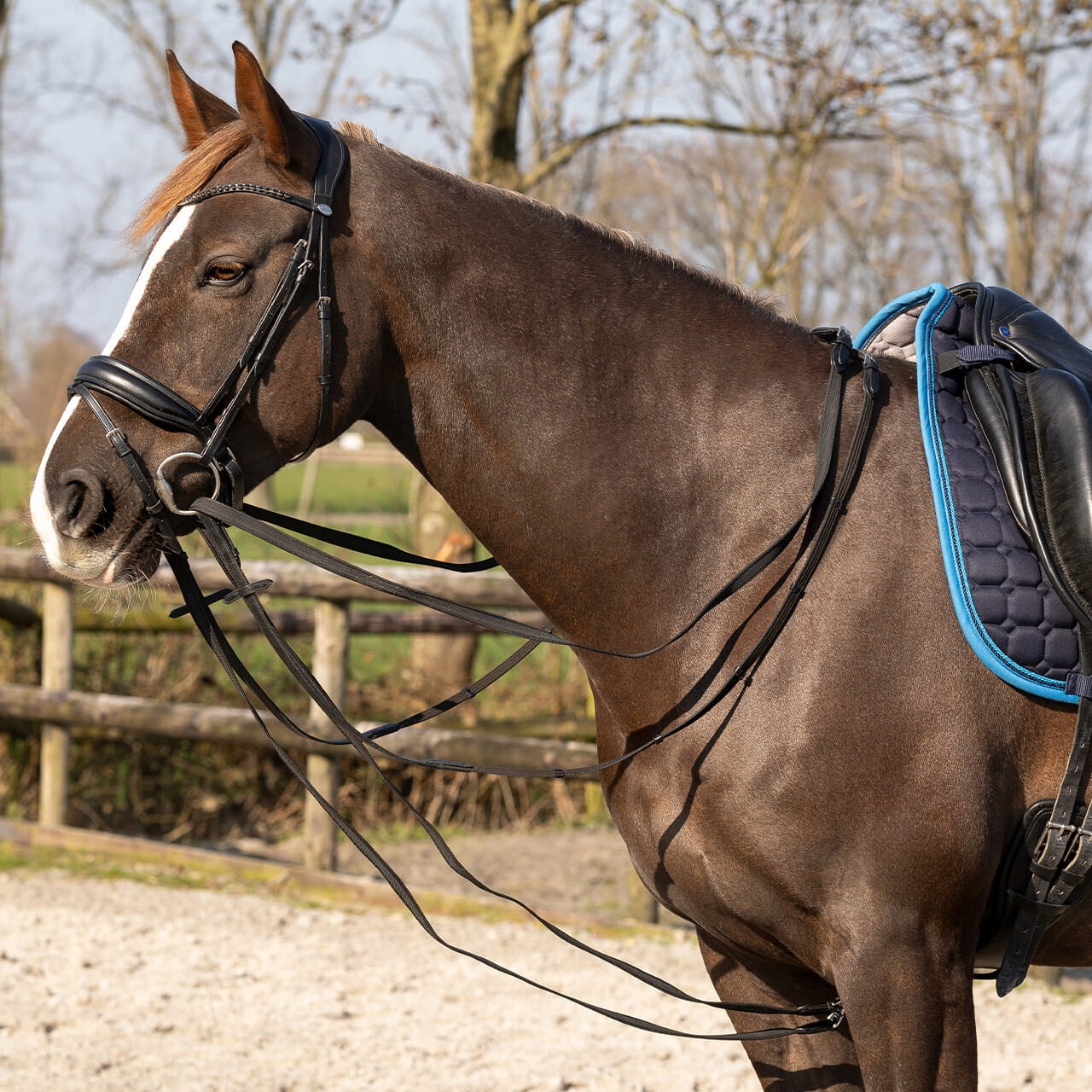 Qhp Czarna wodza Basic pro anti-slip