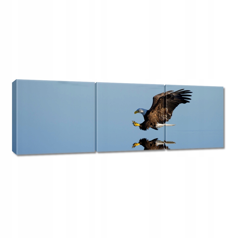 

Obrazy 120x40 Ptaki Ptaszki Ptactwo