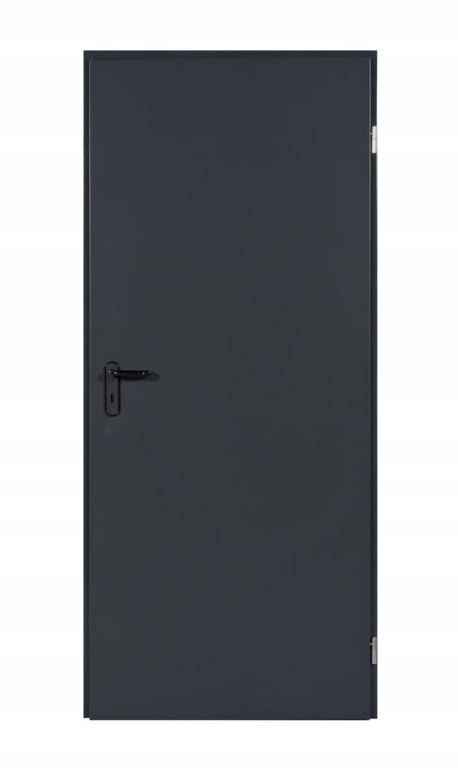 Vnější technické ocelové dveře 90x200 cm antracit univerzální, pevné