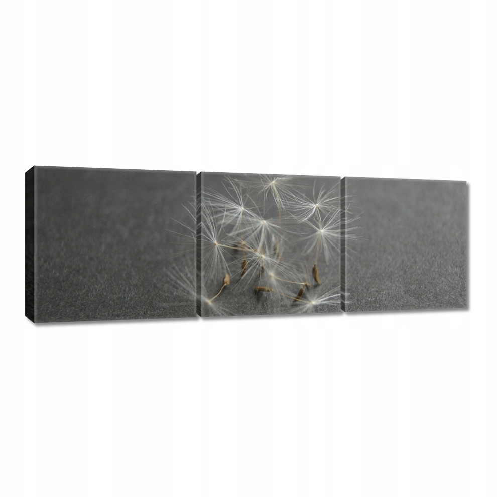

Obrazy 60x20 Dmuchawiec Kwiat Kwiatki