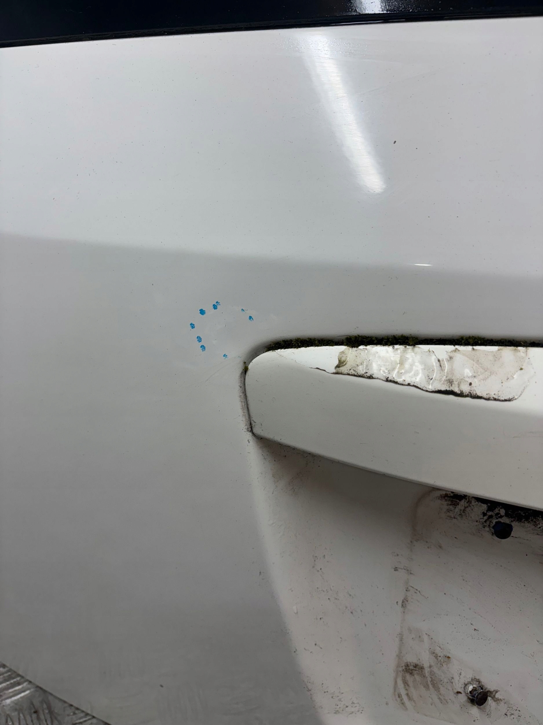 boot doors boot FIAT SEDICI