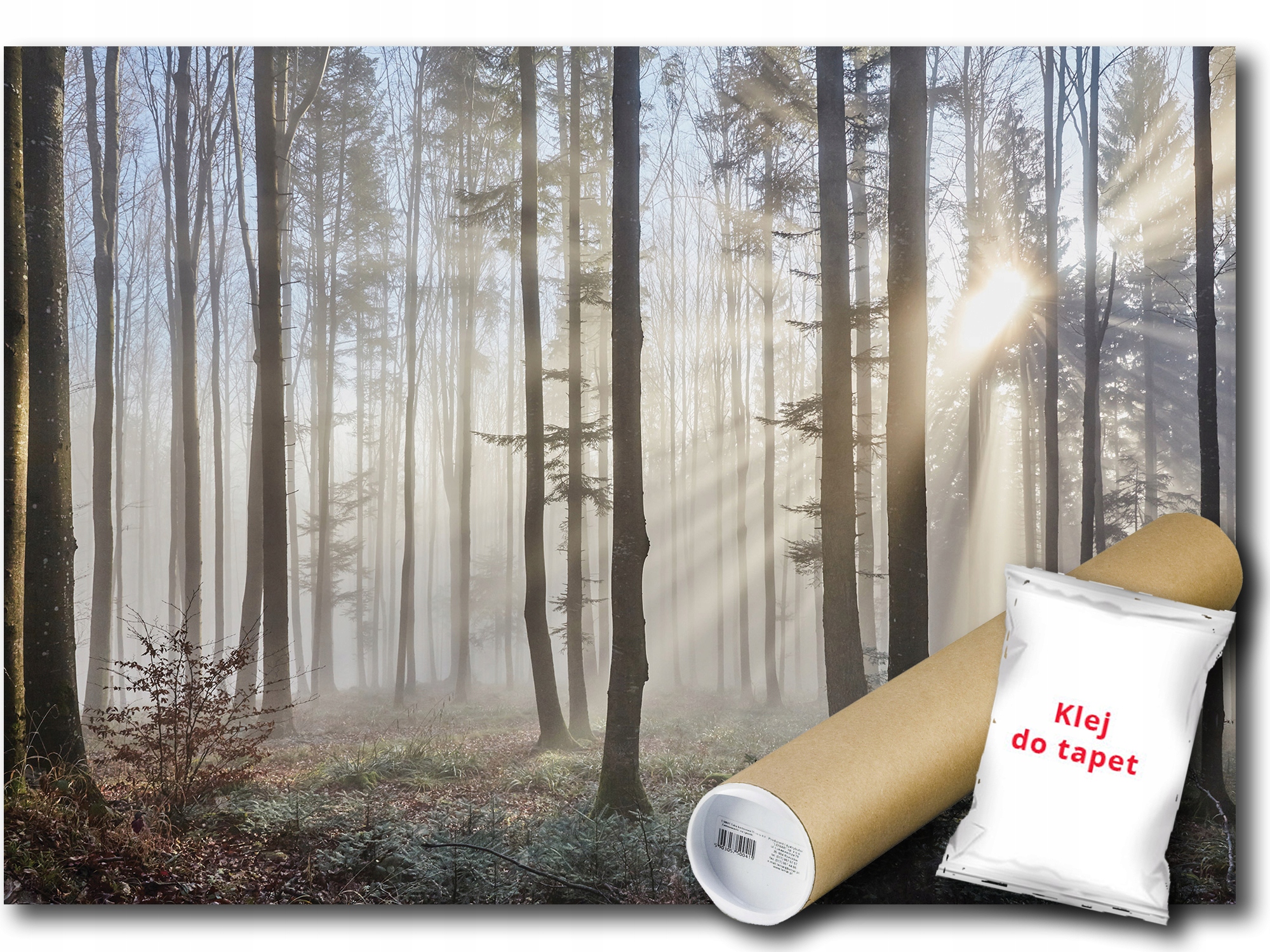 Vinylová Fototapeta Les Stromy Slunce 416x254