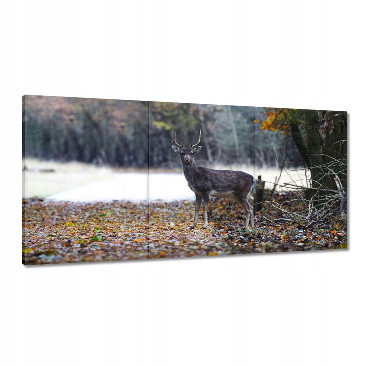 Obrazy 180x90 Jelen v lese Les