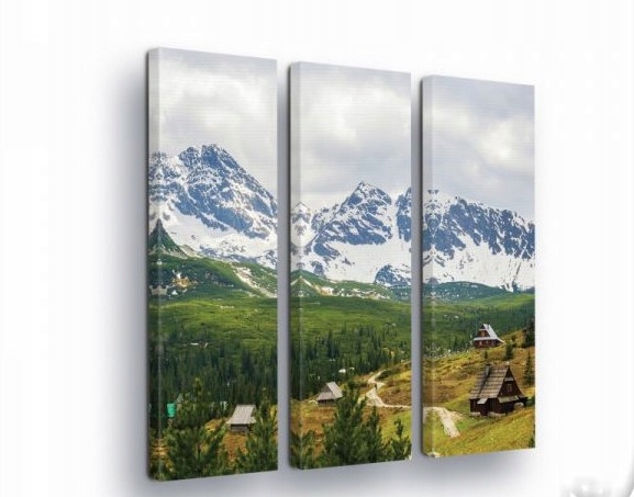 Obraz 90x100 horská krajina Tatry Karpaty příroda hory sníh les