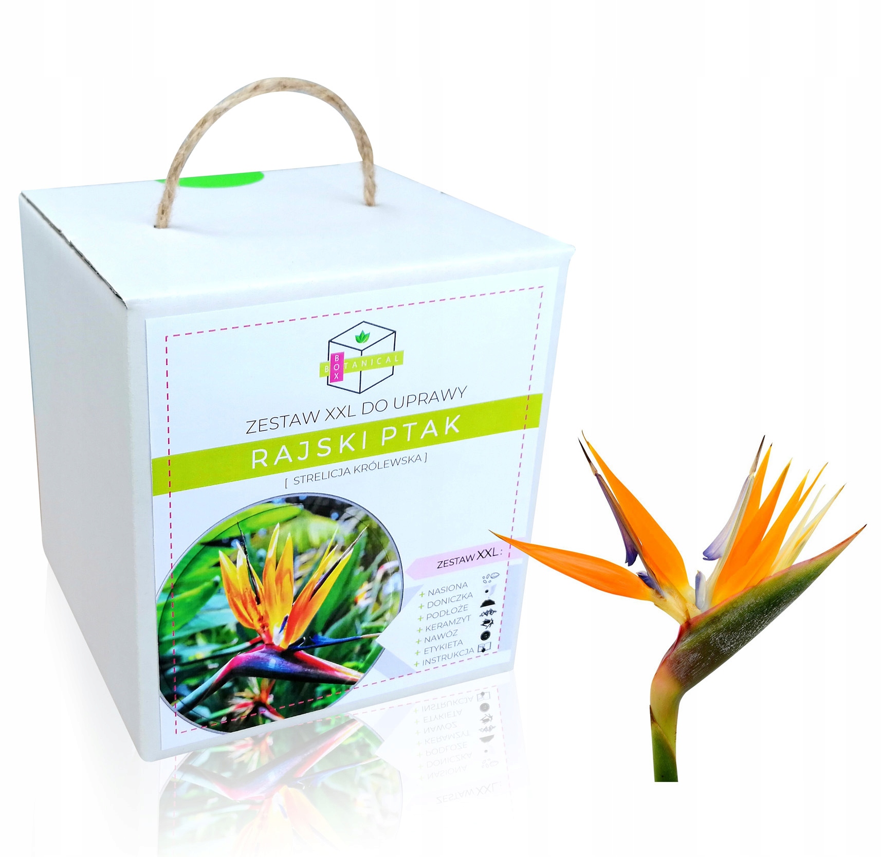 

Rajski Ptak Strelicja Zestaw Do Uprawy -na Prezent