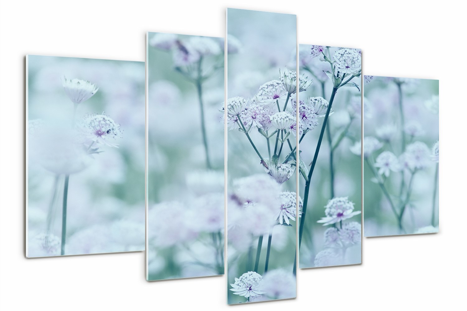 

Foto Obraz szklany tryptyk Jarzmianka większa