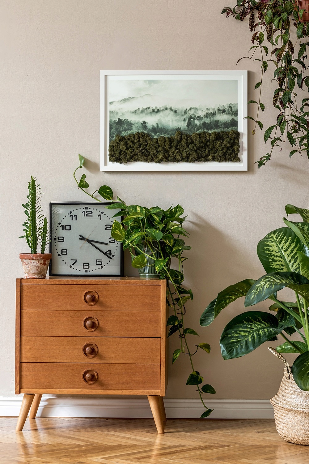 Obraz mech chrobotek prezent Las we mgle 60x40 Rodzaj mech chrobotek