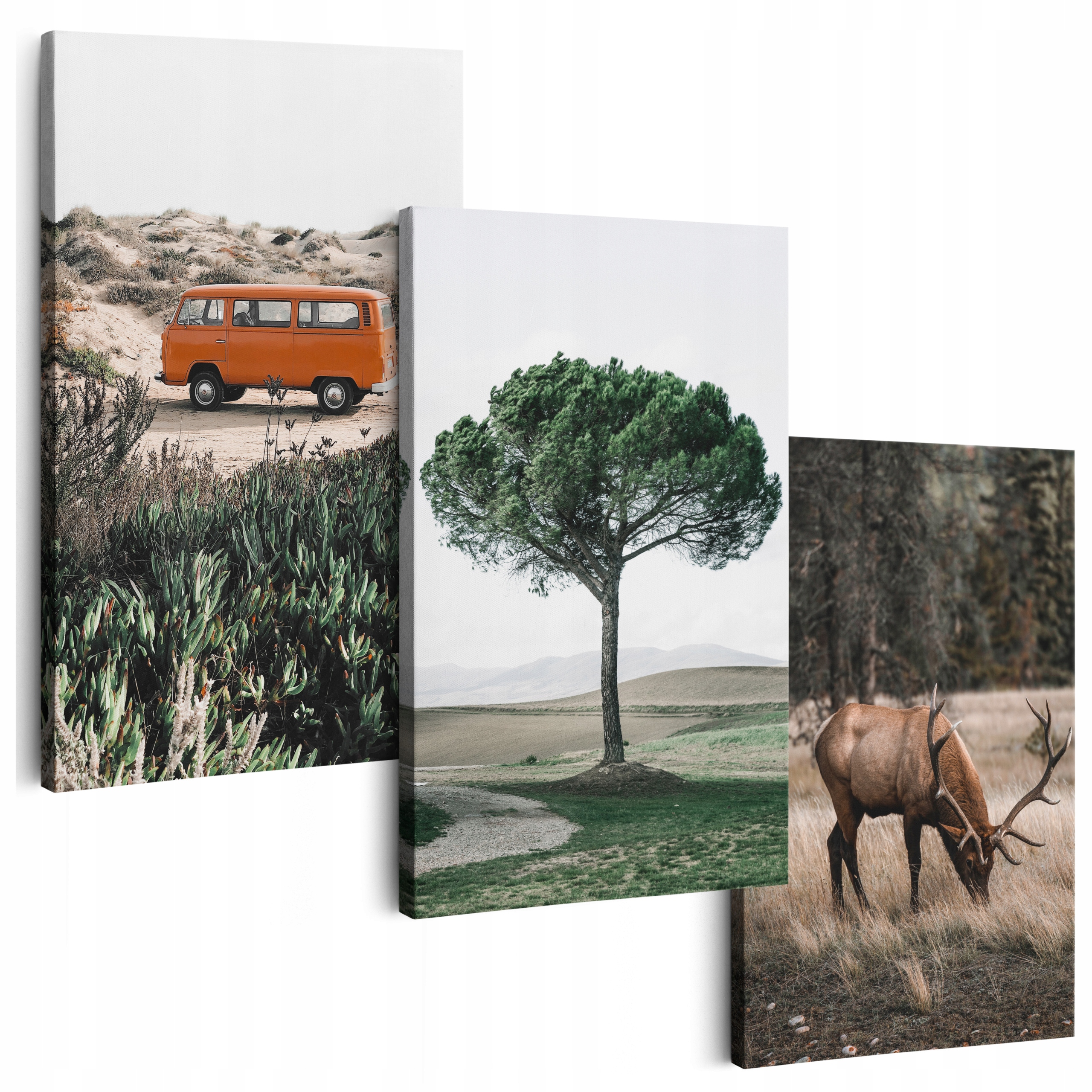 Obraz Na Plátně 150 cm **mnoho vzorů** 3 Ks Obrazy Do Obývacího Pokoje Na Zeď