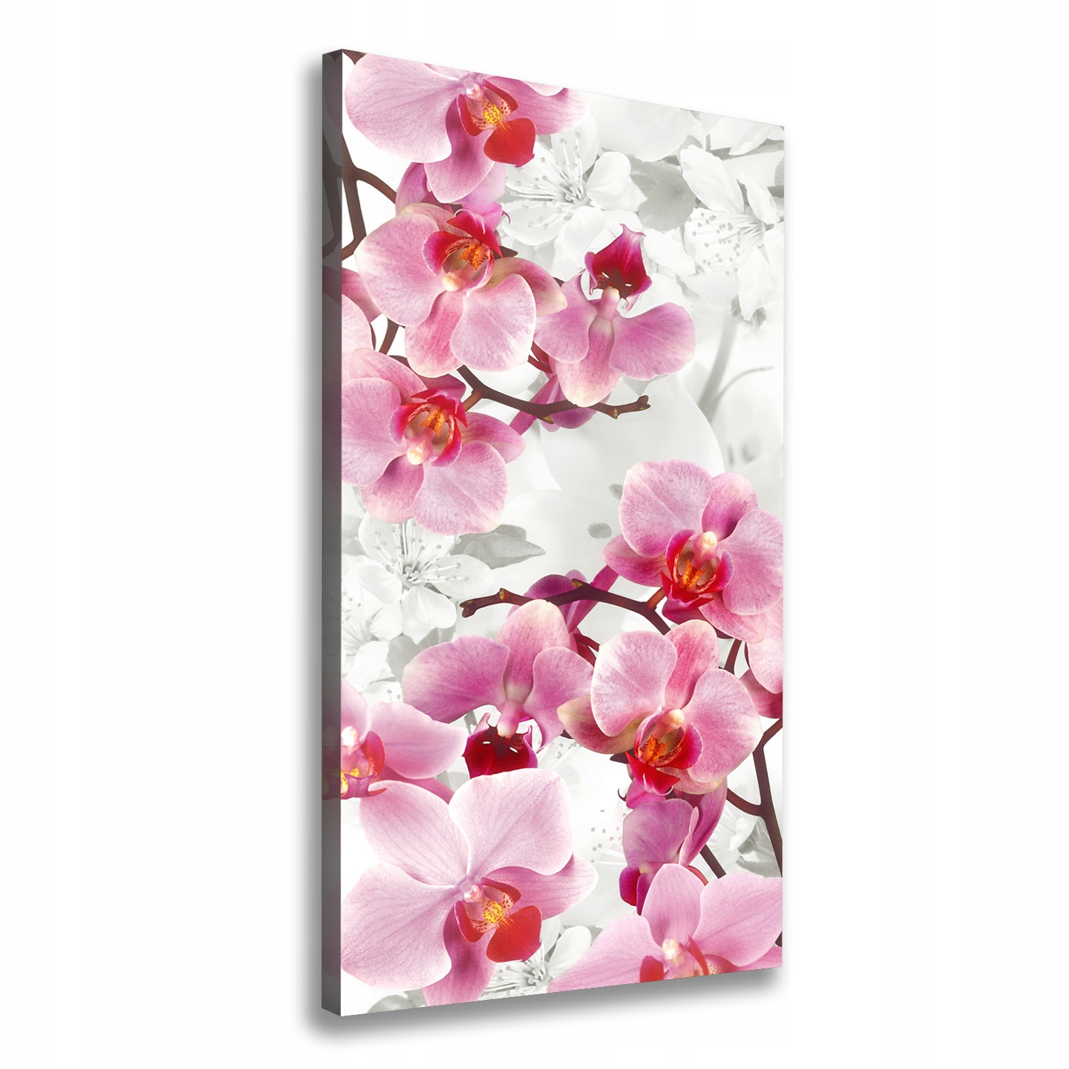 

Foto obraz na płótnie Różowa orchidea 50x100 cm
