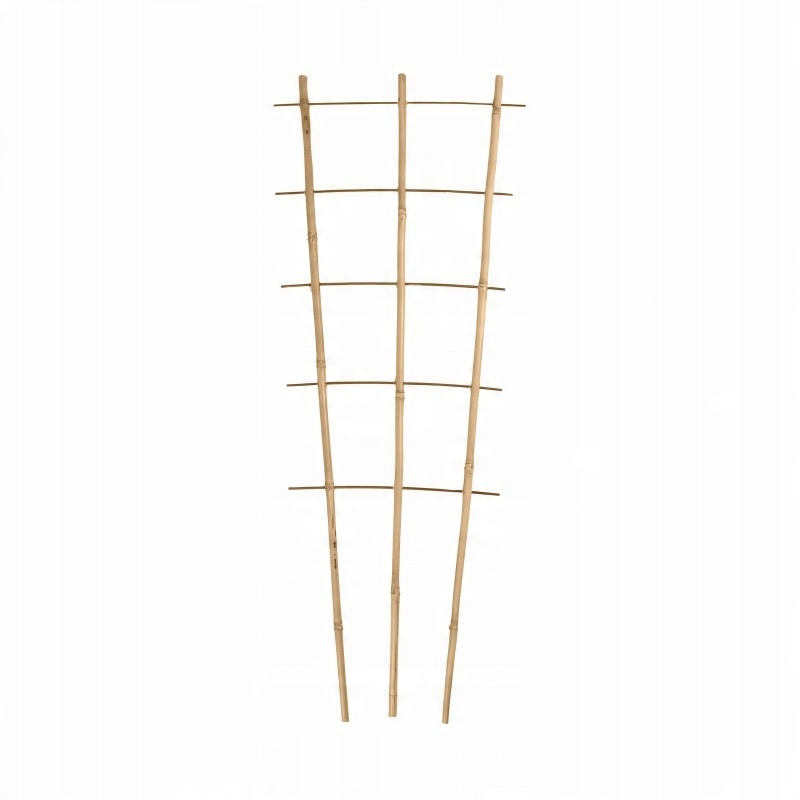 

Drabinka bambusowa naturalna 3-rzędowa 120cm /3