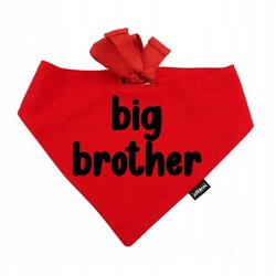 Levně Psí Nákrčník Big Brother Psiakrew L