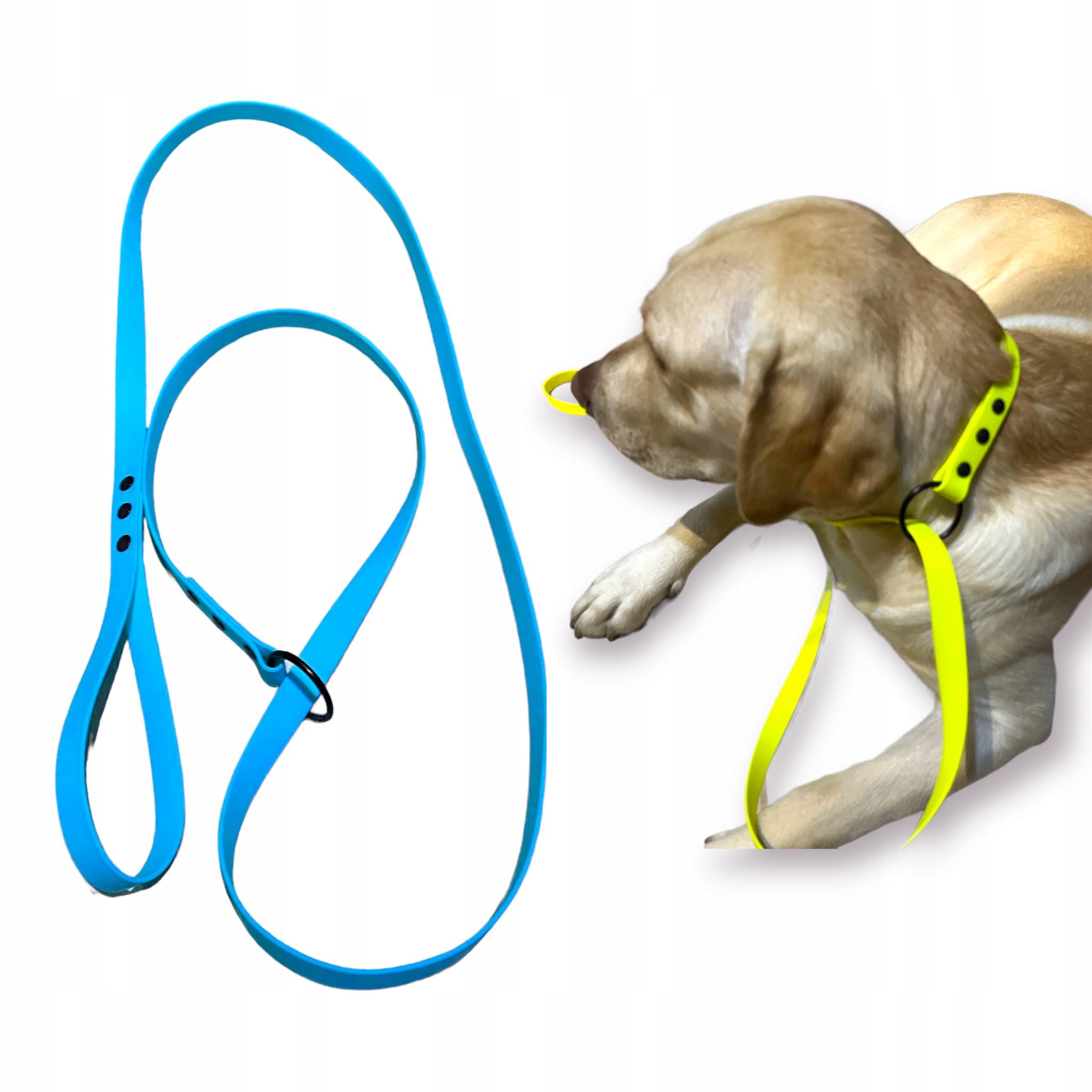 Levně Vodítko behaviorální voděodolné Biothane s obojkem