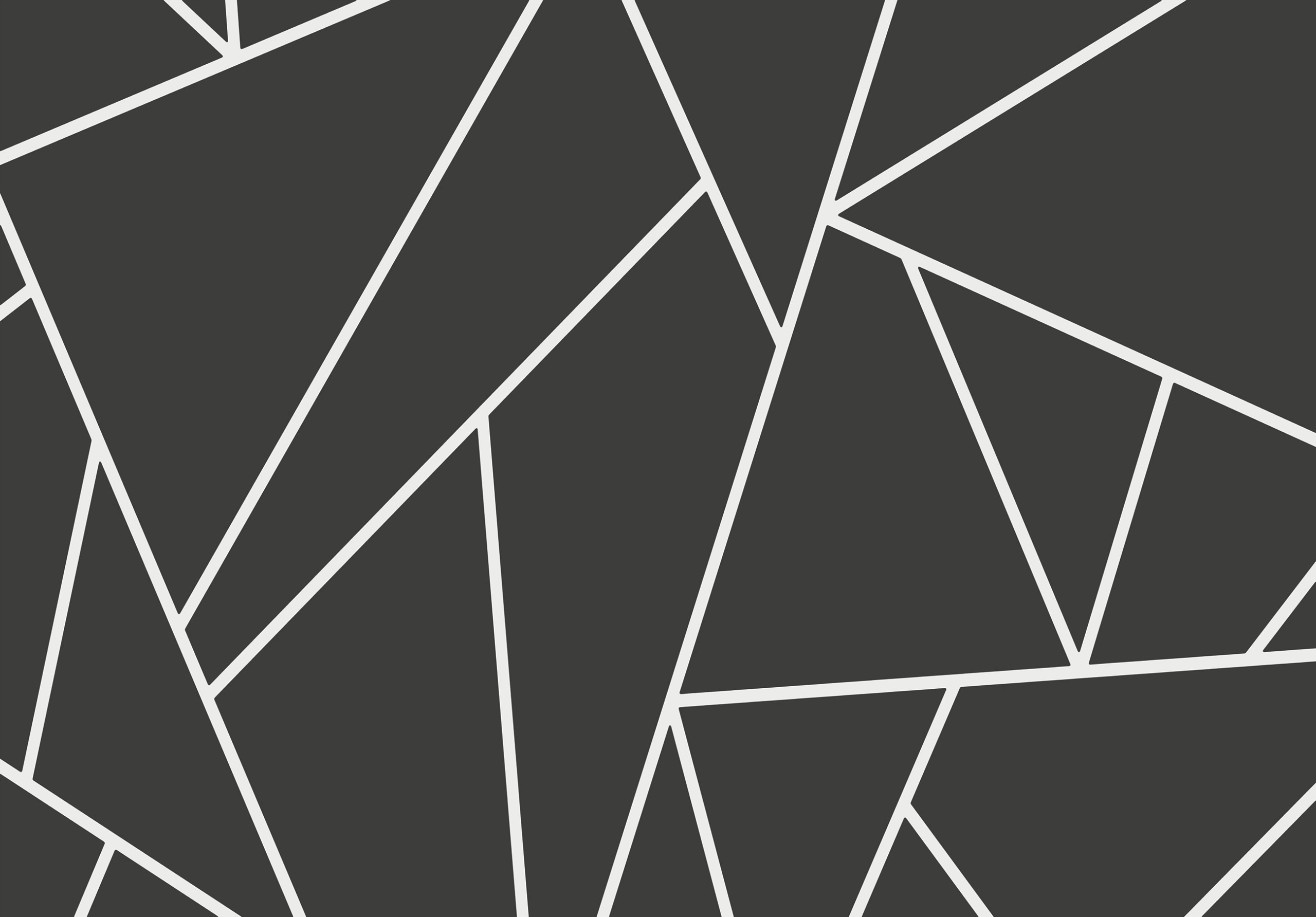 Fototapeta moderní vzory krásná grafika Abstrakce 368 x 254