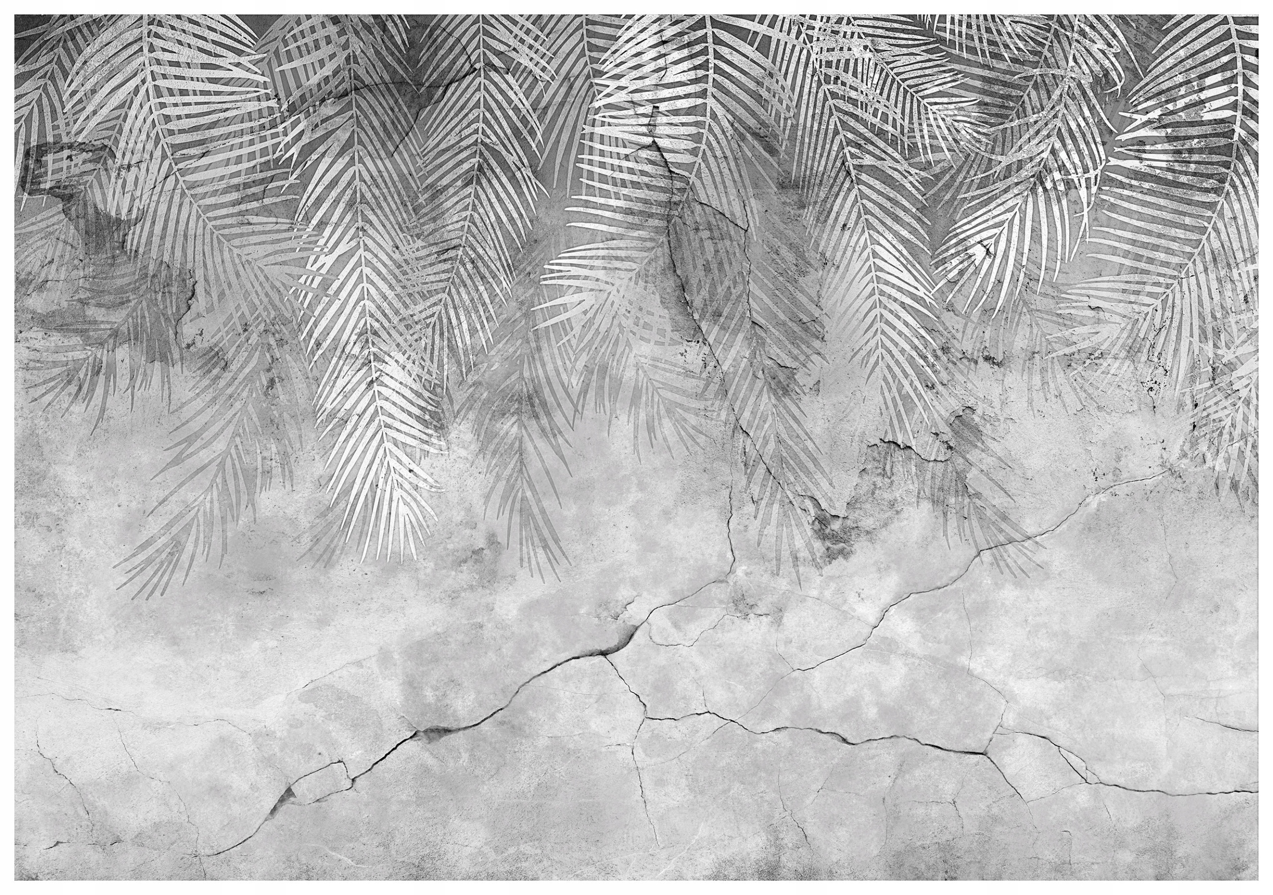 Fototapeta Betón a palmové listy šedé pozadie minimalizmus 368x254 lepidlo