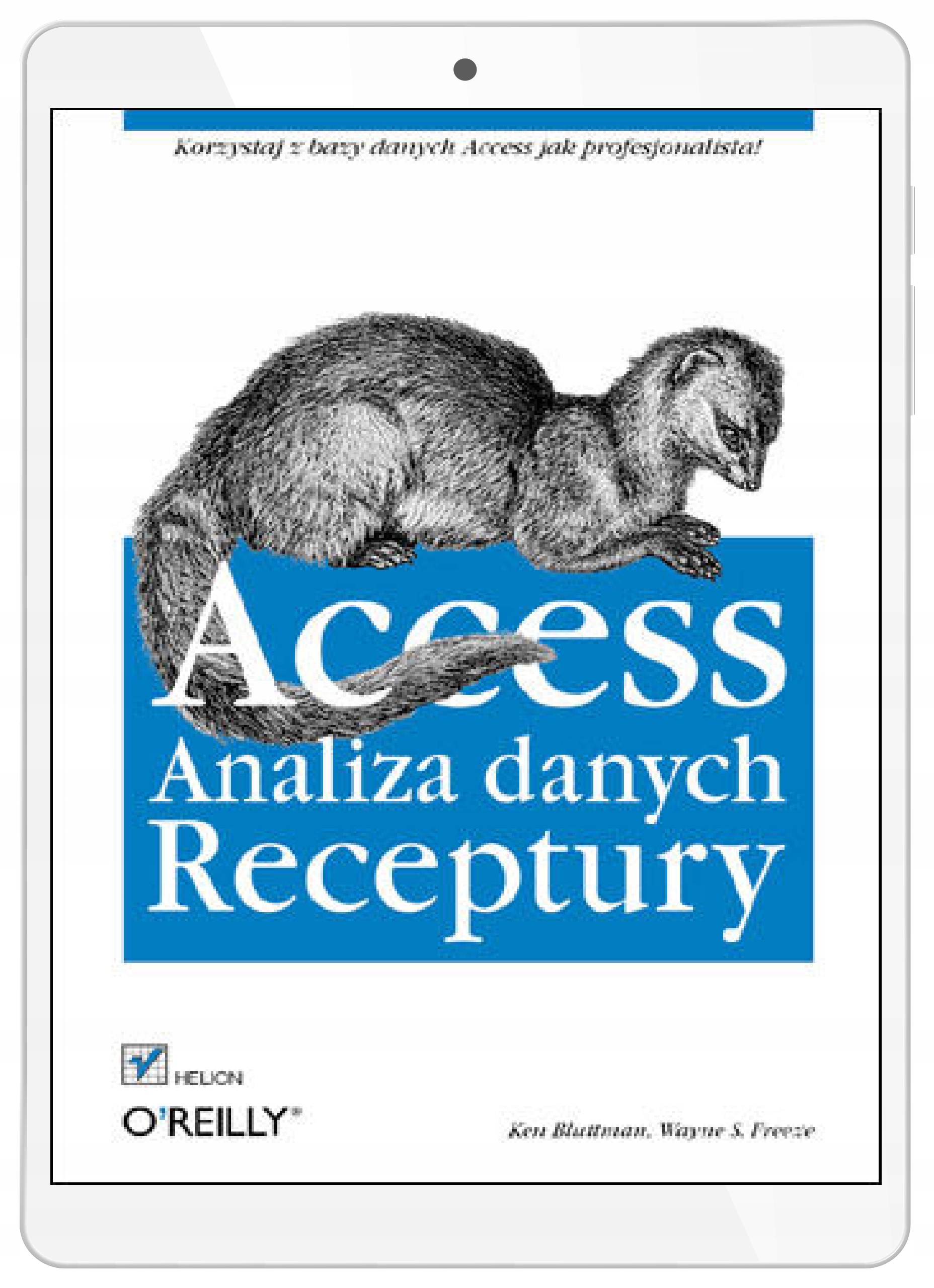 Access. Analiza danych. Receptury
