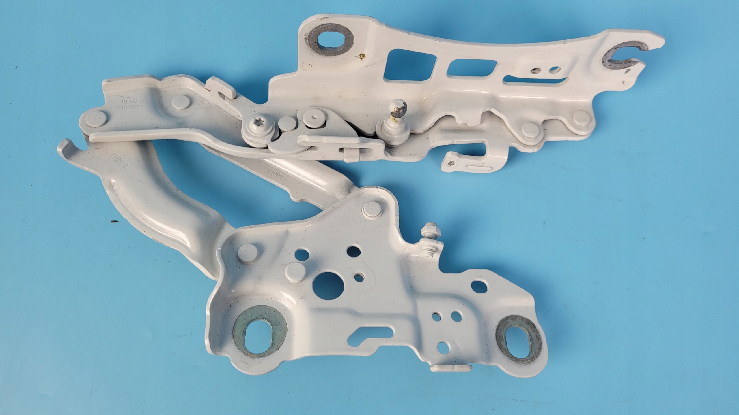 BMW 3 ' G20 19R петля капота лавы 7450589