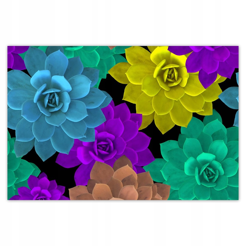 

Plakaty 93x62 Kolorowe kwiatki Kwiaty