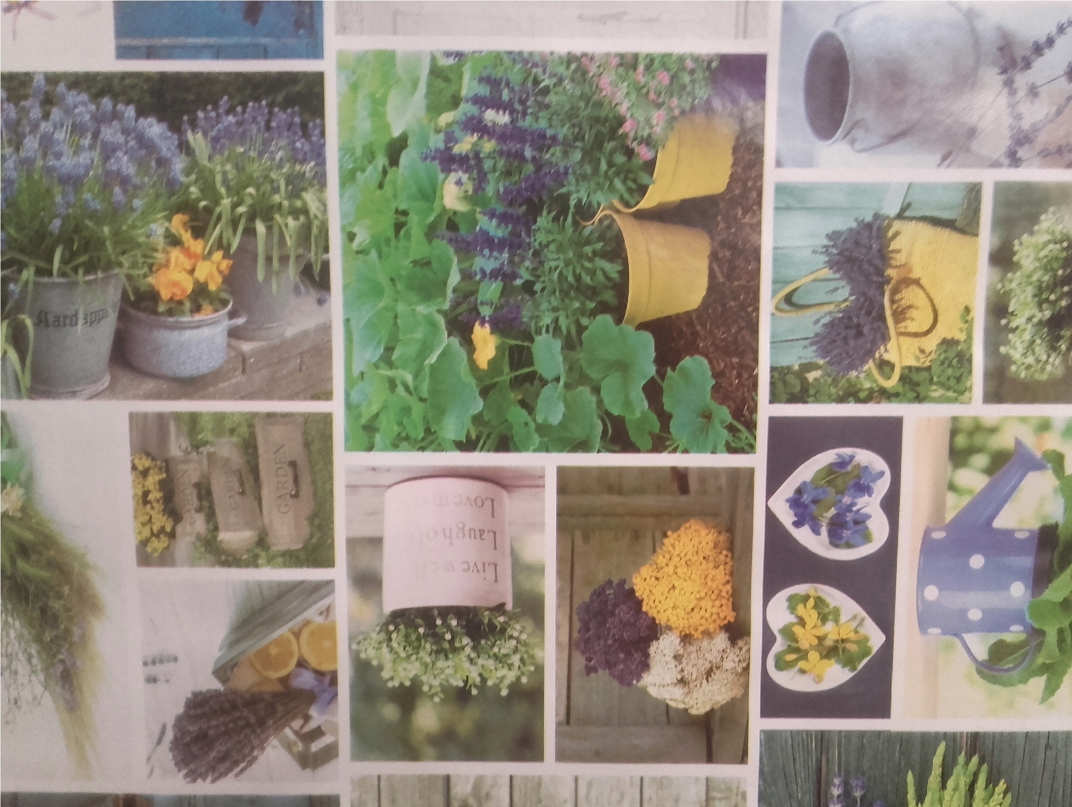 CERATA zmywalna OBRUS LAWENDA SERCA bratki kwiaty