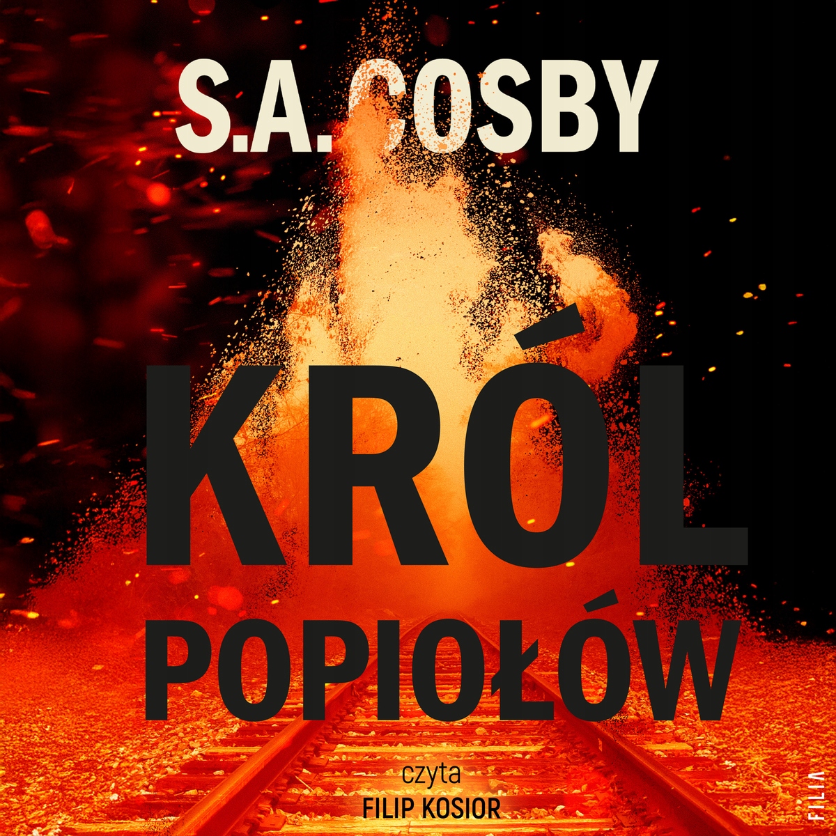 Król popiołów - S.A. Cosby (audiobook)