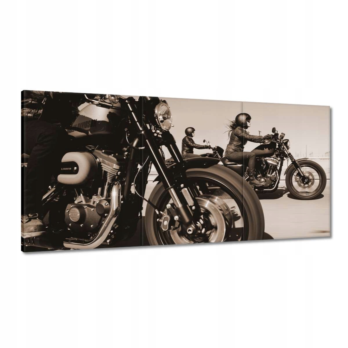 Obrazy 180x90 Harley Davidson Motocykl