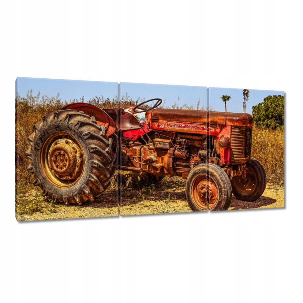 

Obrazy 120x60 Traktor Zabytkowy pojazd