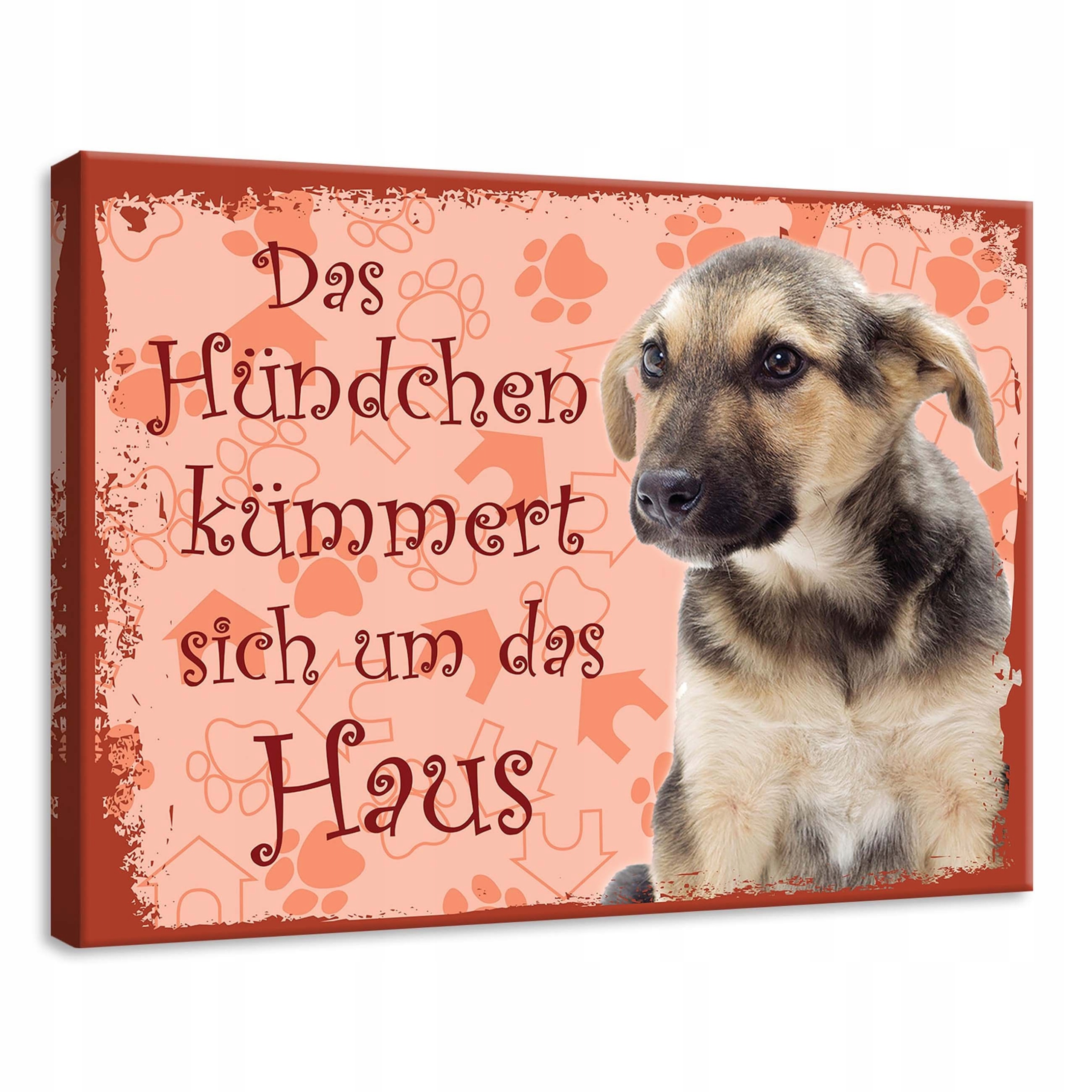 Obraz 70x50 Štěňátko pes pečovatelský dům roztomilý zábavný německý otisk