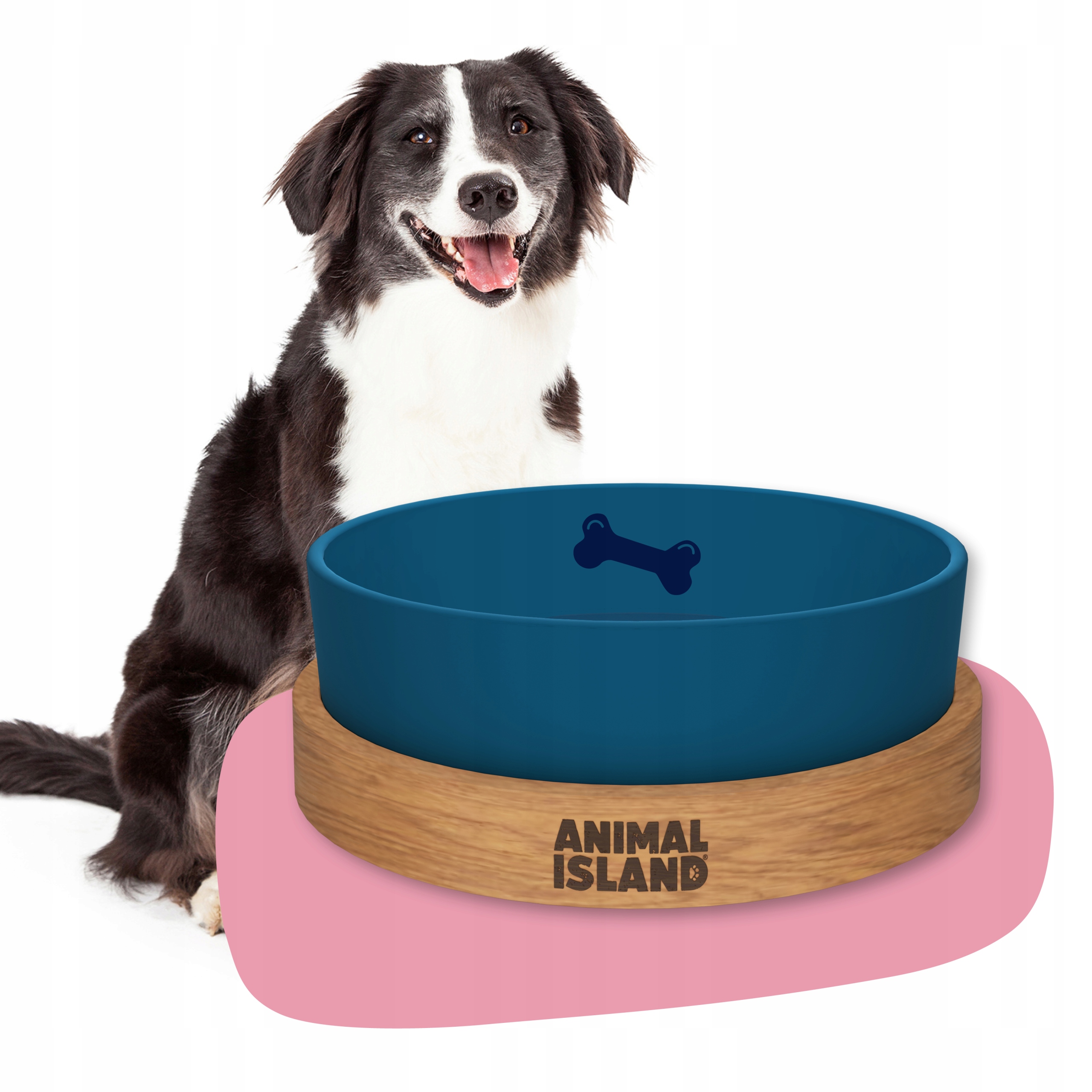 Miska dla psa M szklana morska atest Food Contact