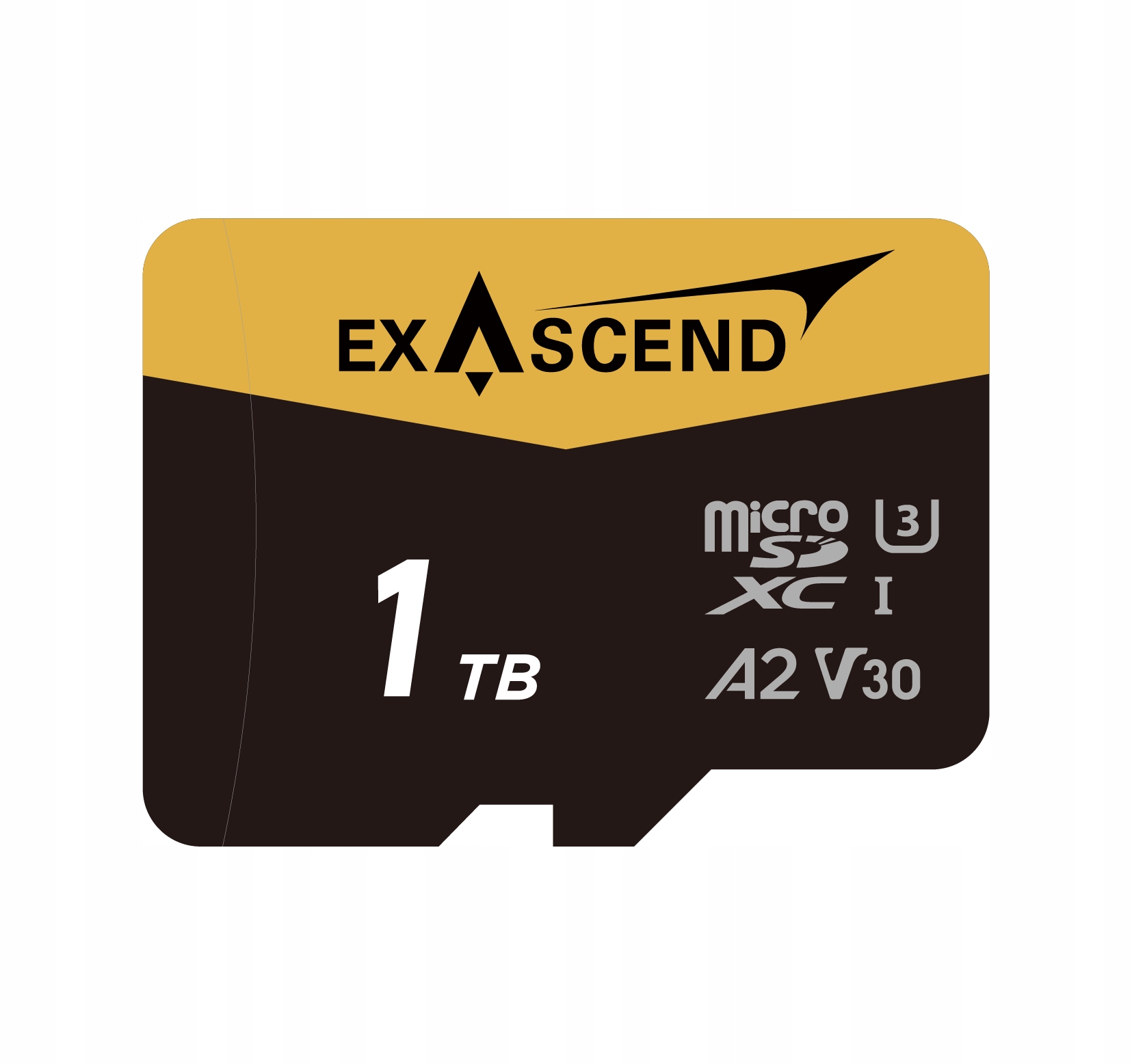 Karta pamięci ExAscend Catalyst Uhs-i micro 1TB