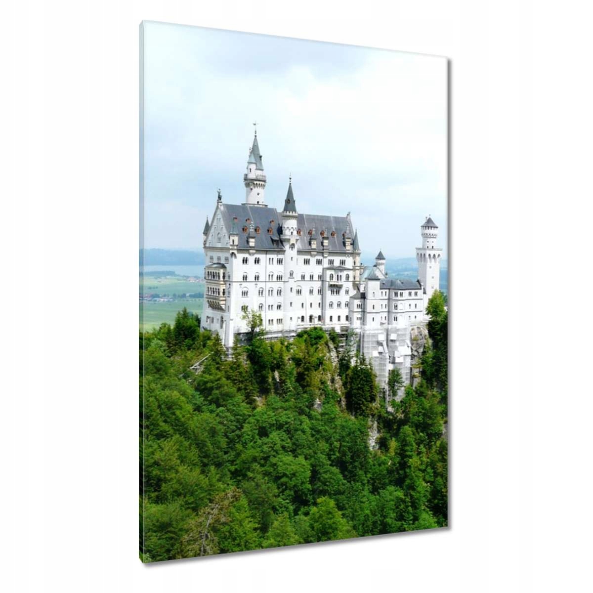 Obrazy 80x120 Zámek Neuschwanstein