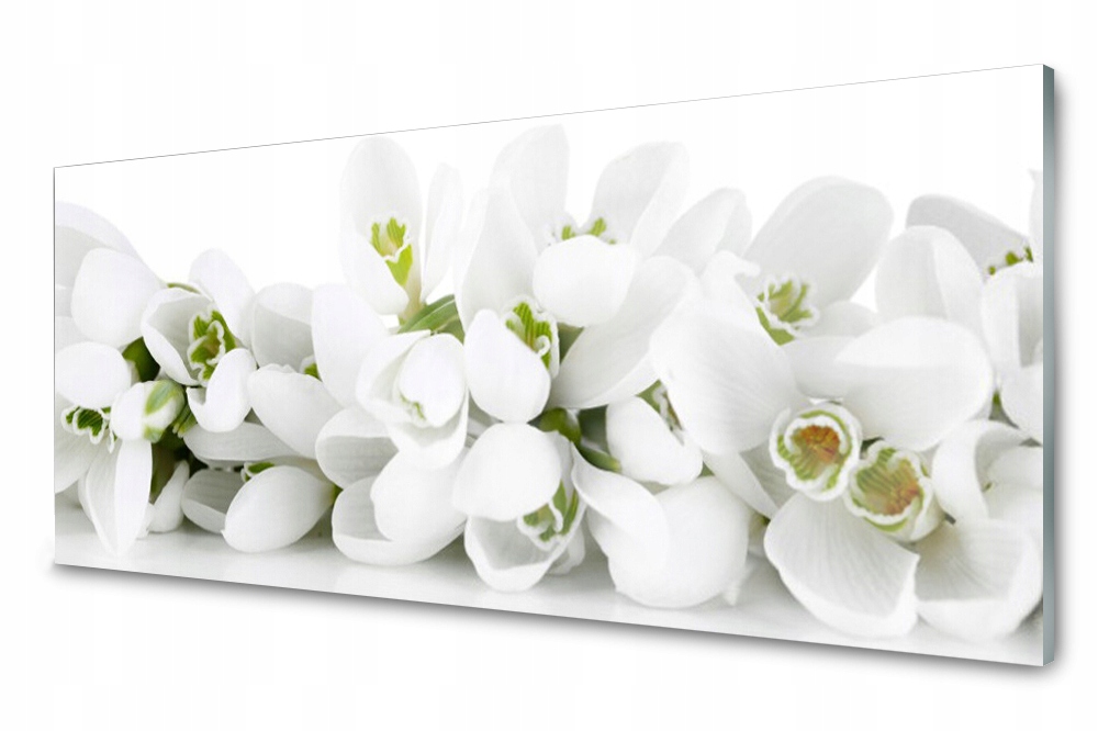 

Panel szklany do kuchni Kwiaty Roślina 125x50