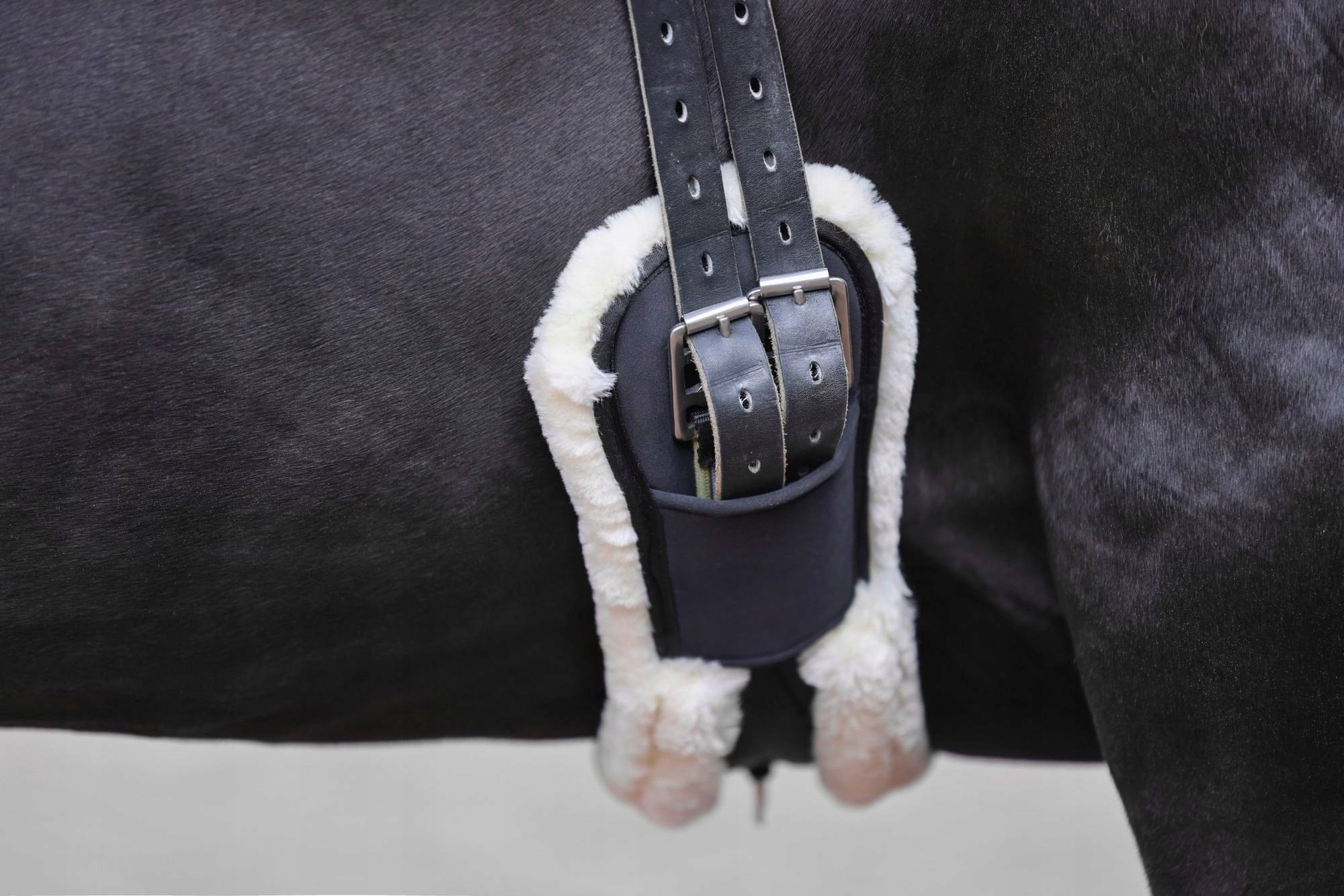 Popręg ujeżdżeniowy, 60 cm, ze sztucznym futrem, czarny, Covalliero Marka Covalliero