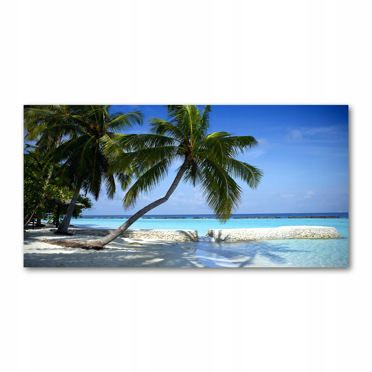 

Foto obraz szkło akryl Tropikalna plaża 120X60 cm