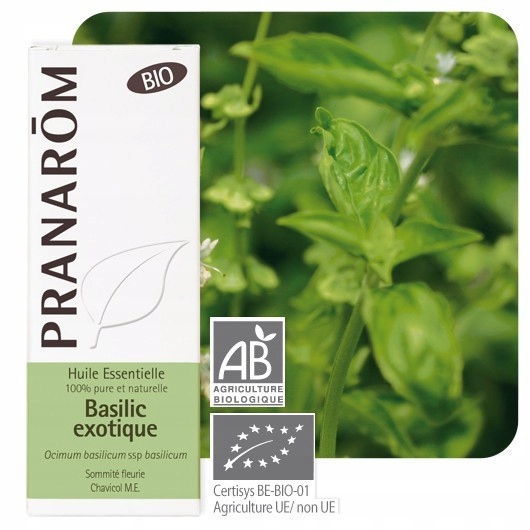 Eko Olejek eteryczny Bazyliowy Bazylia Ocimum basilicum ssp 10ml Pranarom