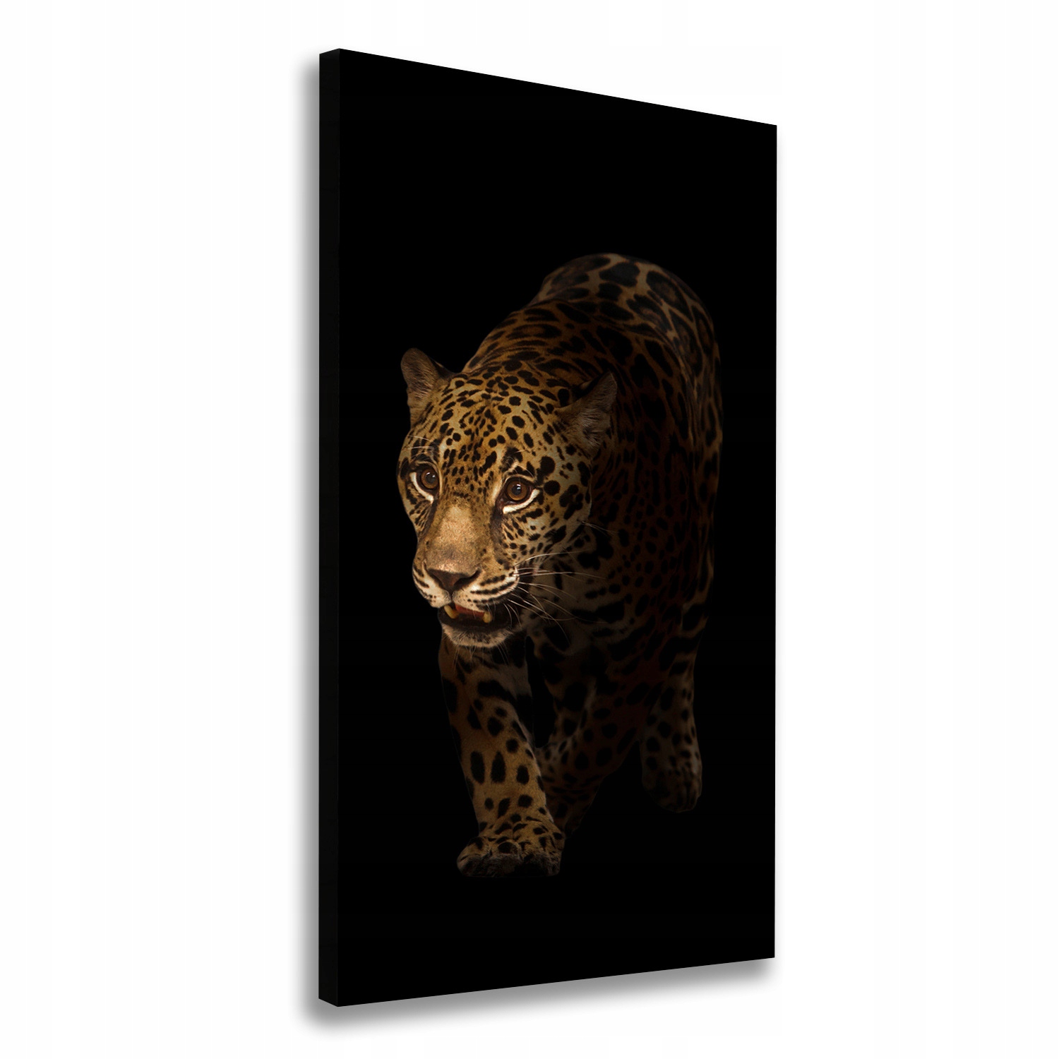 

Nowoczesny fotoobraz canvas na ramie Jaguar 50x100