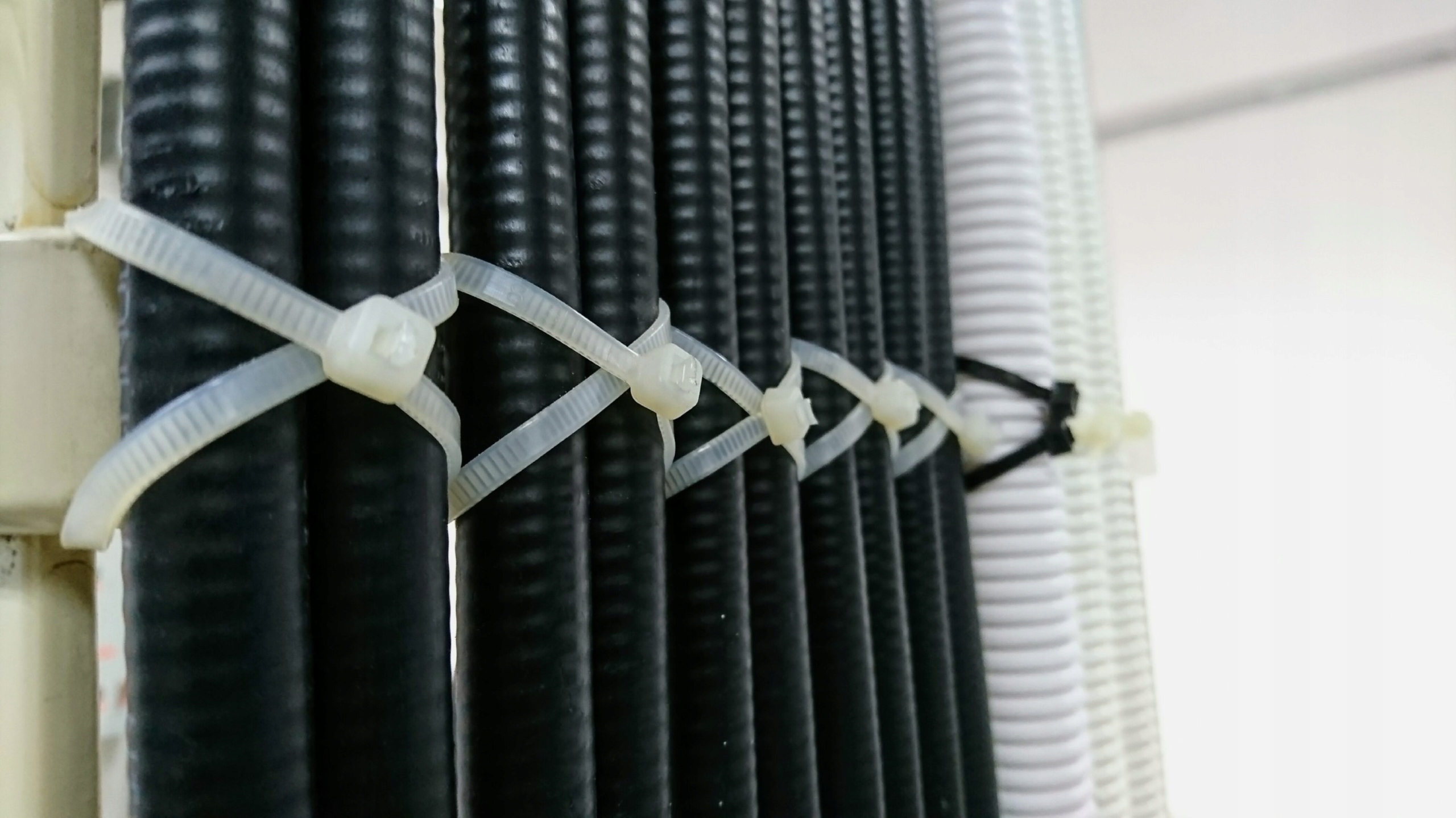 Opaski zaciskowe 7,6 x 300 mm 300x7,6 Trytytki 100 szt. Materiał nylon