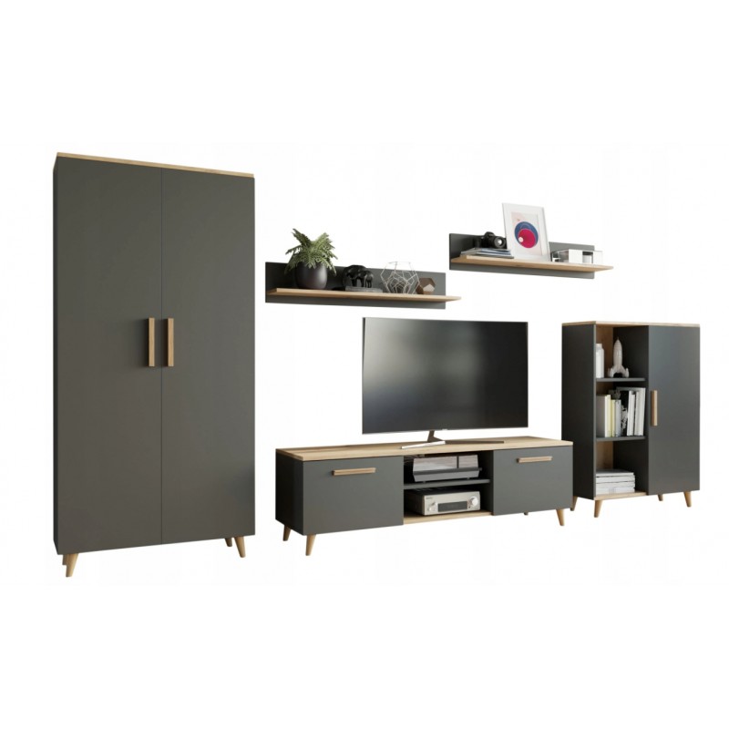 Nábytková Stěna Nord dub artisan/antracit Obývací Pokoj, skandinávský styl