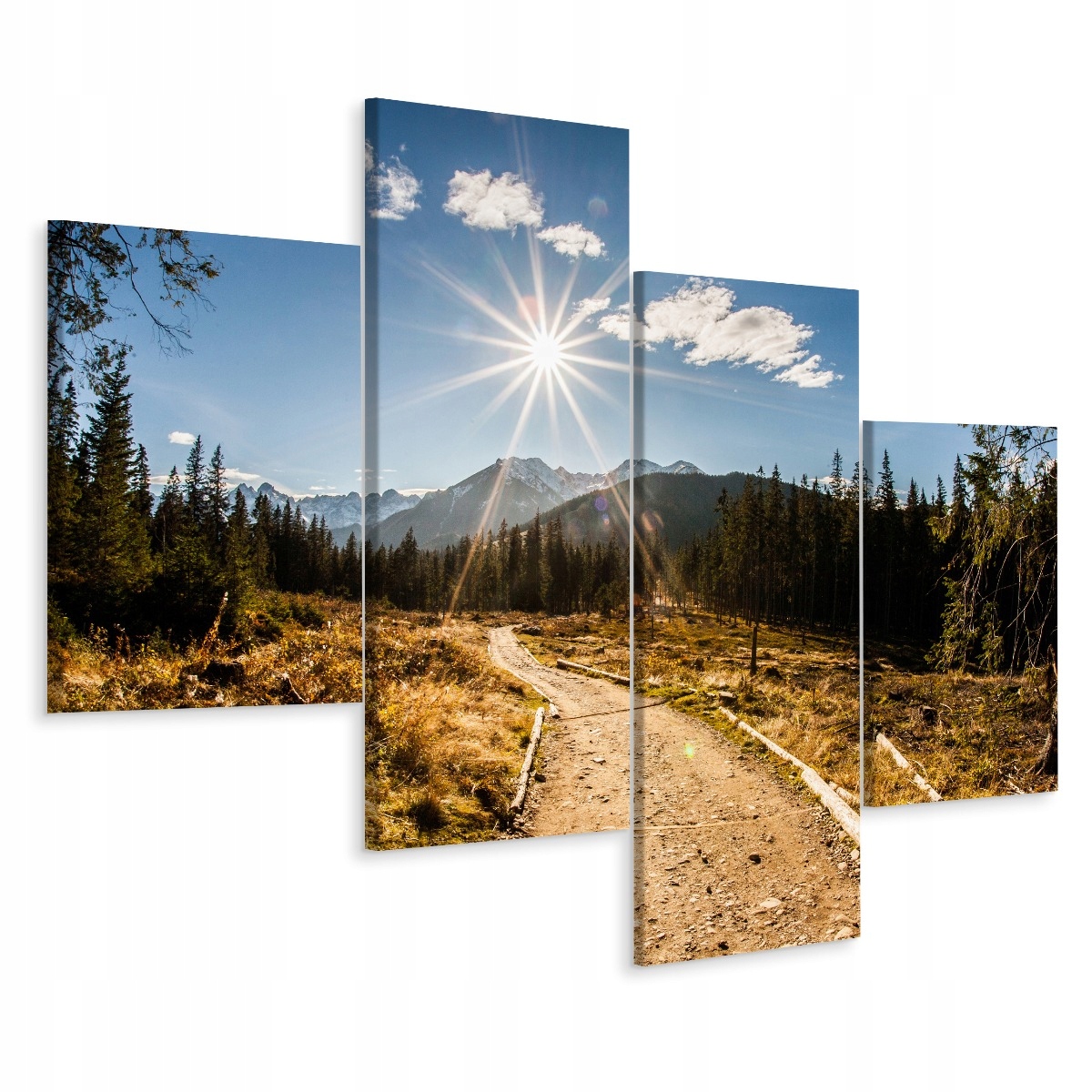 

Obraz 4-Częściowy Słoneczne Tatry Widok 3D 80x50