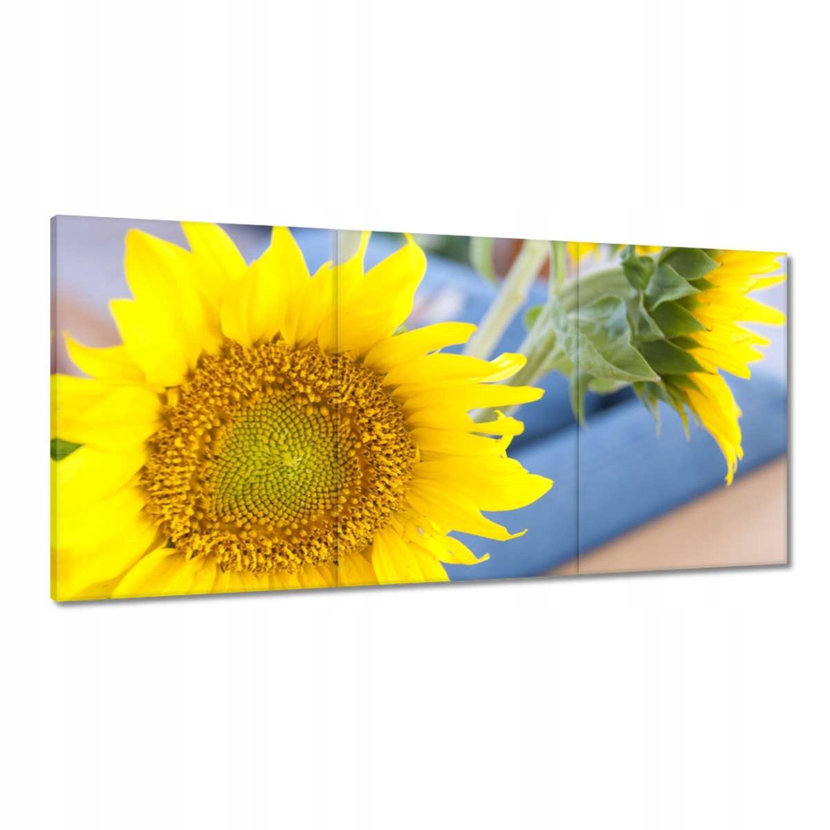 Obrazy 180x90 Deň žien Darčeková láska