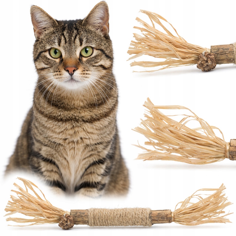 ZABAWKA INTERAKTYWNA DLA KOTA MATATABI PATYK GRYZAK PATYCZEK Z KOCIMIĘTKĄ