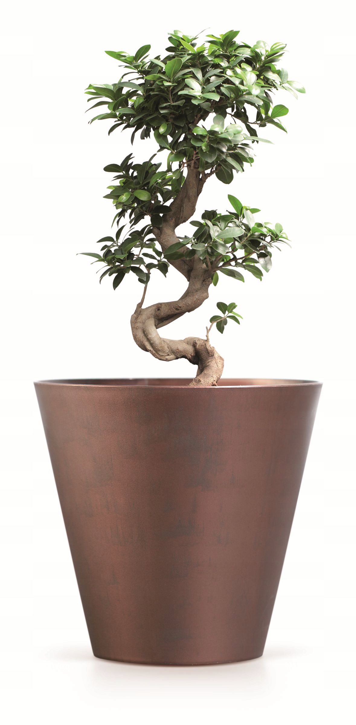 DONICA DONICZKA OSLONKA NA KWIATY TUBUS MIEDZIANA