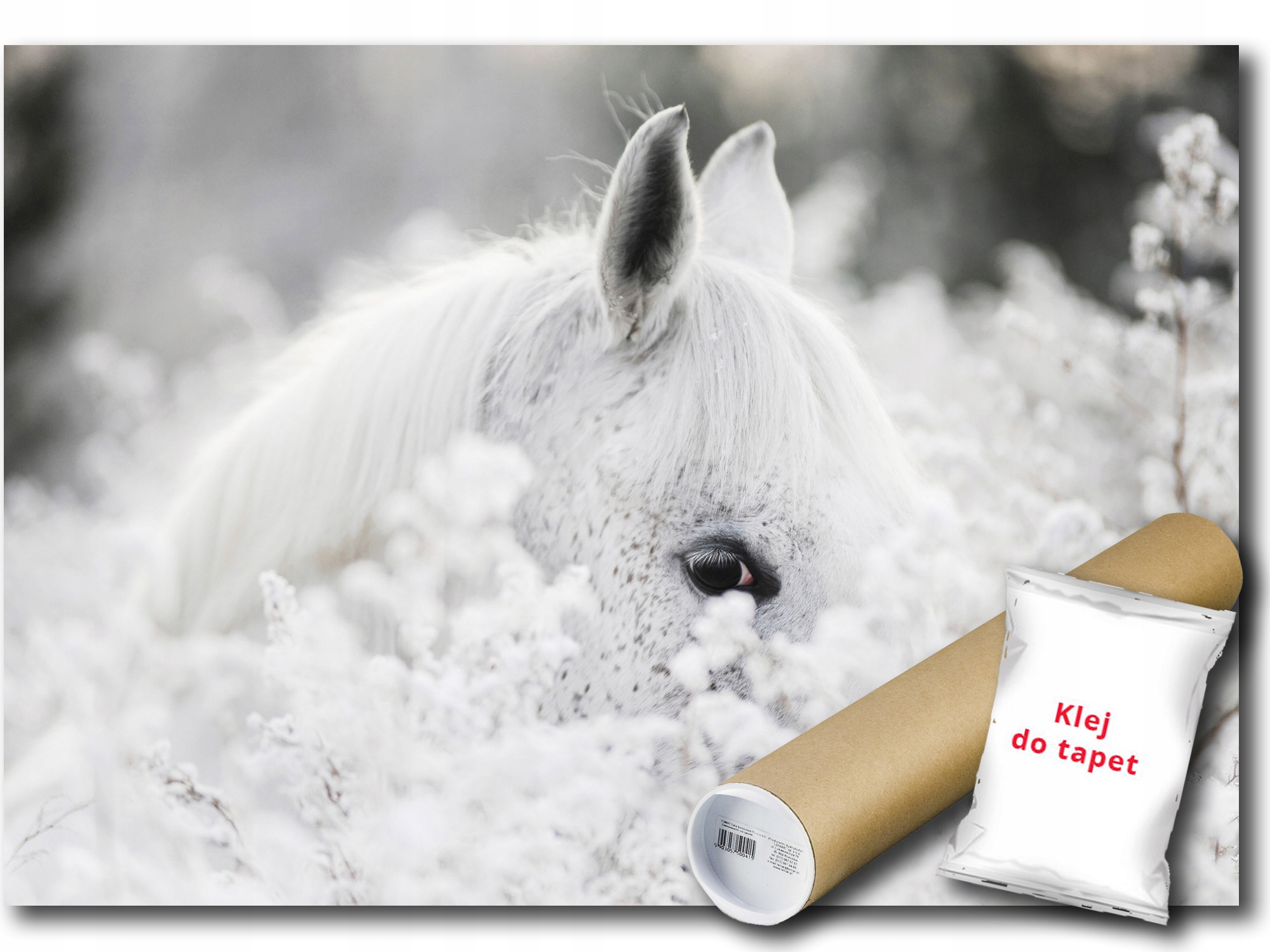 Vinylová Fototapeta Bílý Kůň 254x184