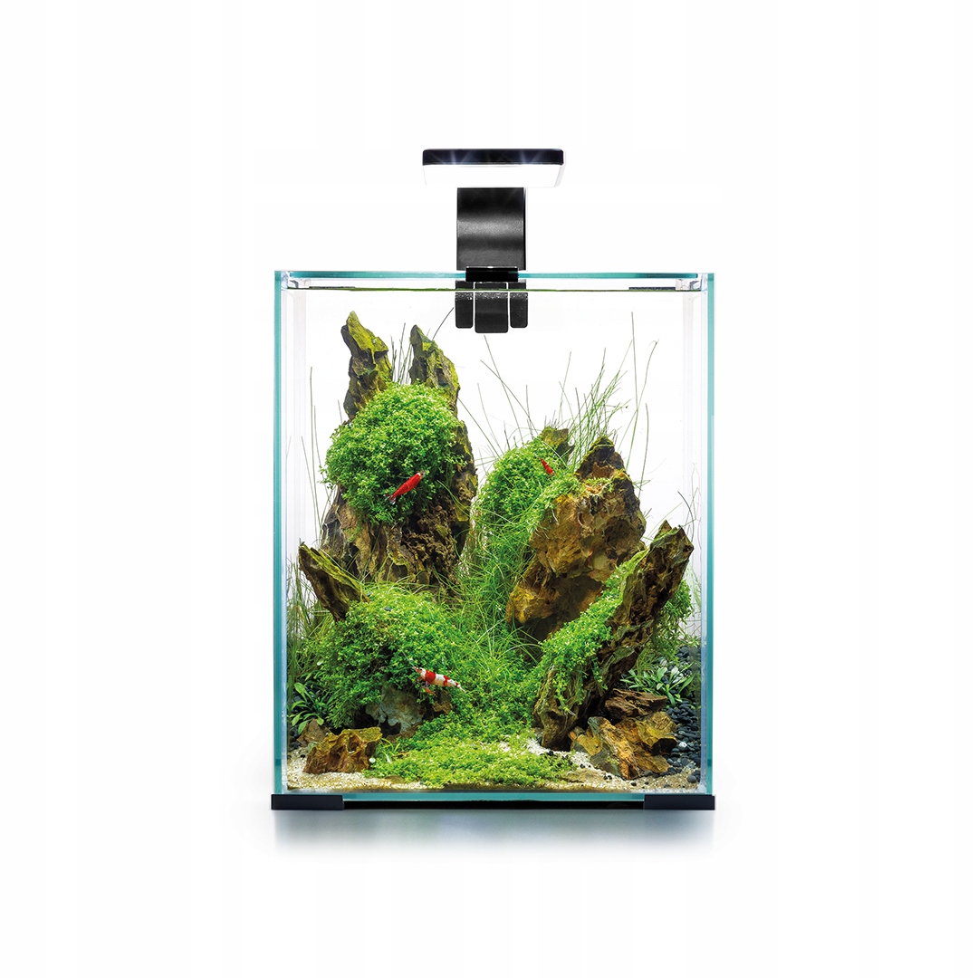 AQUAEL SHRIMP SET II 30L CZARNY Krewetkarium Marka Aquael