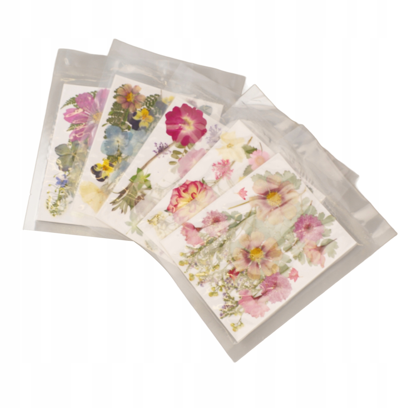 5 sáčků lisované květiny různé živé styly,