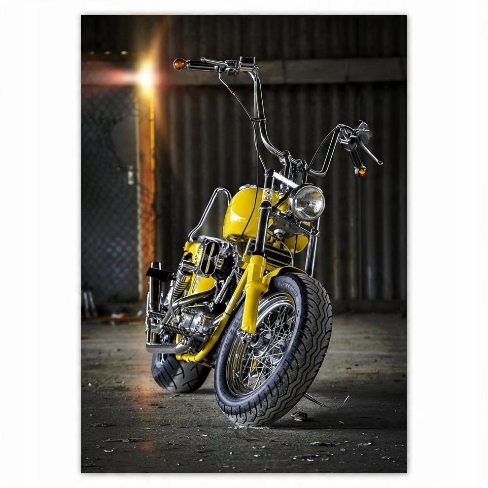 

Naklejki 50x70 Harley Davidson