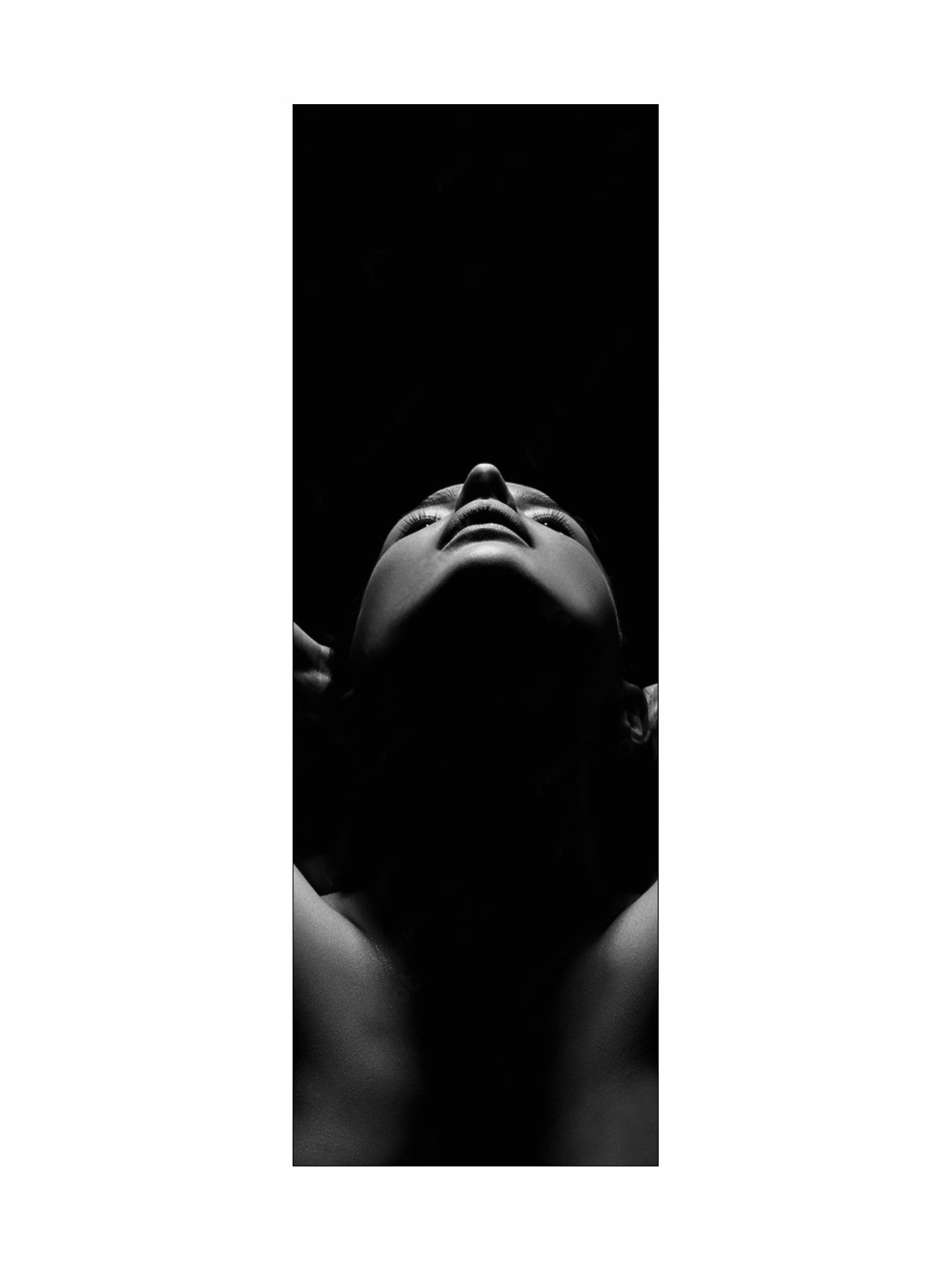 Dekorativní Vertikální Dekorativní Radiátor S Obrazem 1570/540 ART40