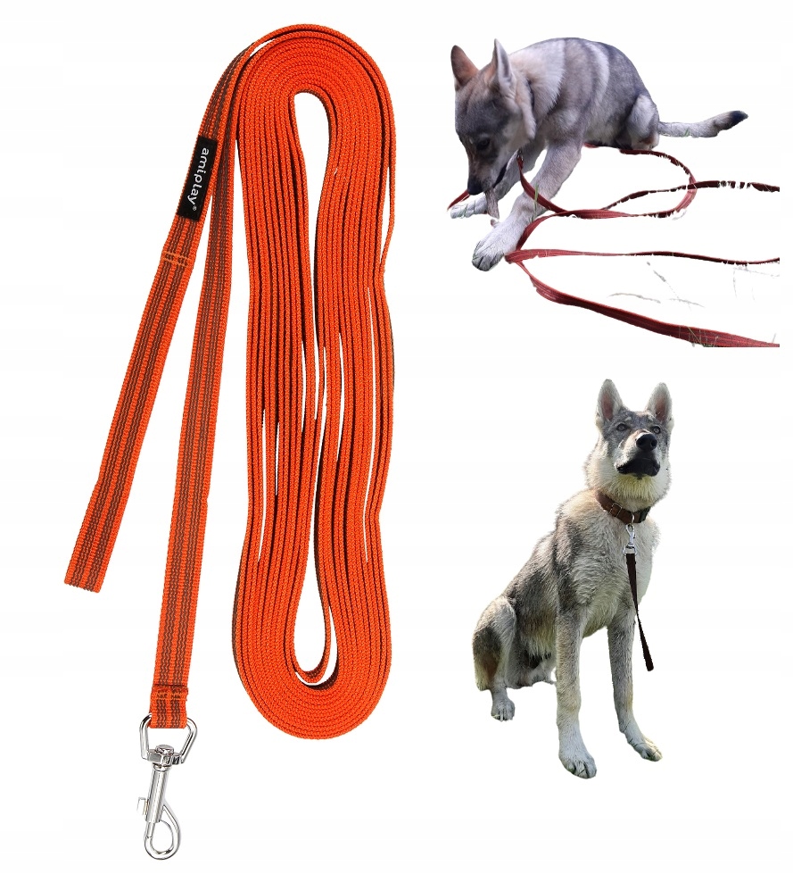 

Amiplay Rubber Smycz treningowa L-XL 1000 x 2cm Po