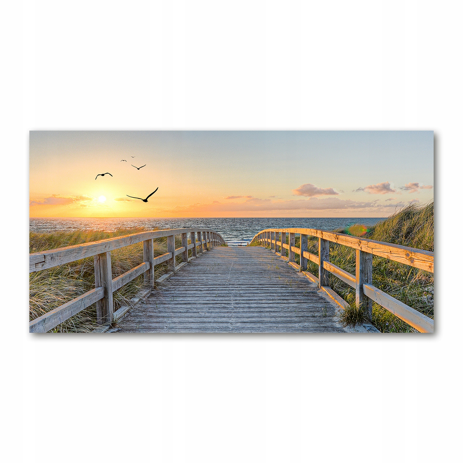 

Foto obraz szkło akryl Ścieżka na plażę 120X60 cm