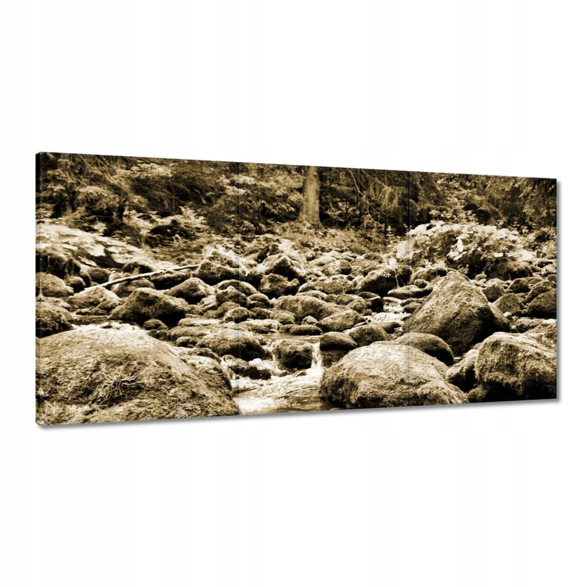 Obrazy 180x90 Tatry Polské hory Pohled